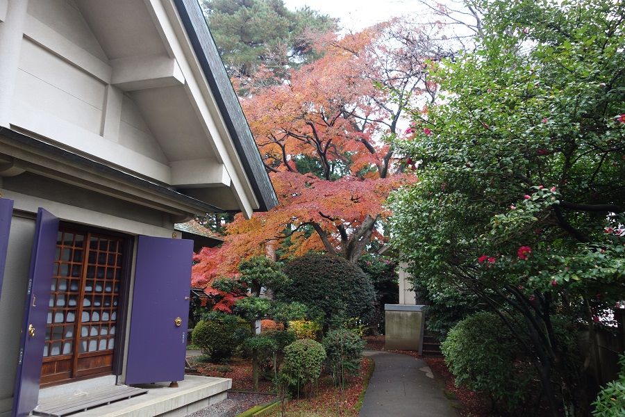 境内の紅葉2017.12.1