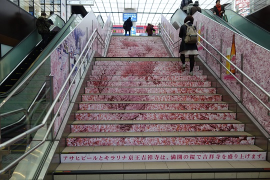 2017年 春 吉祥寺駅(1)